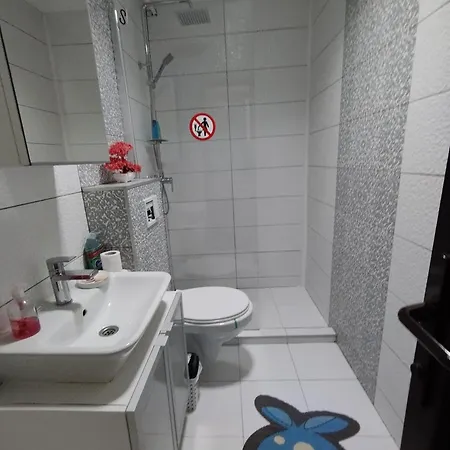 Tomis Promenada Apartment *